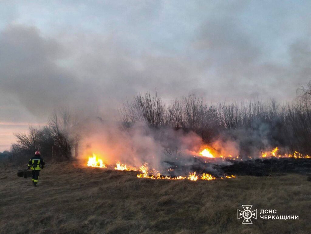 рятувальник гасить пожежу на відкритій території у Черкаській області