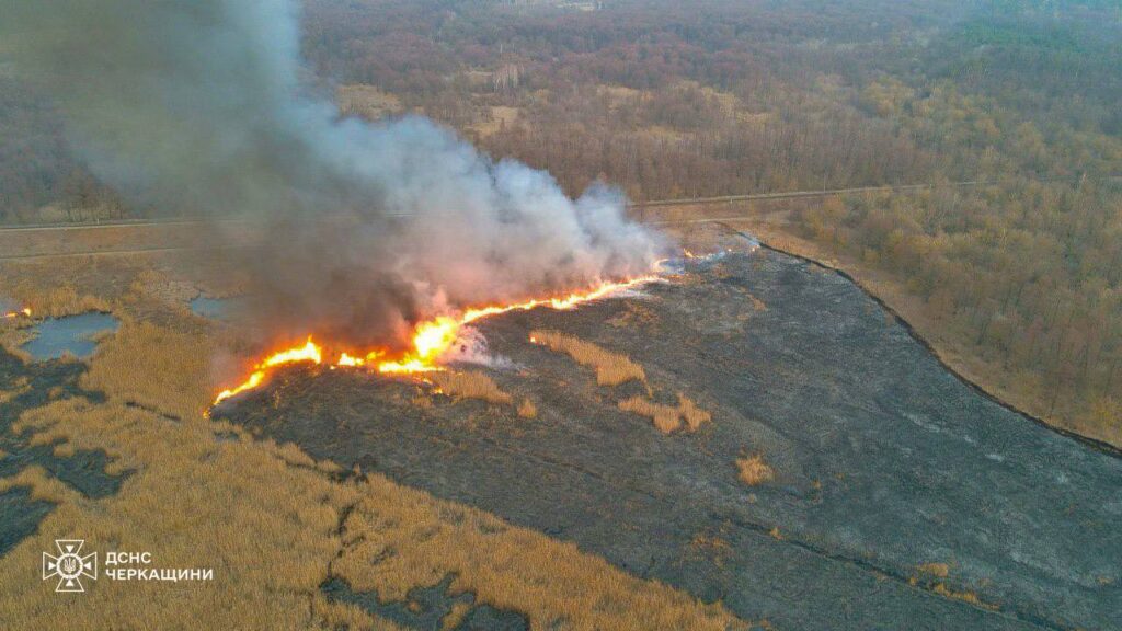 пожежа сухостою у Черкаській області
