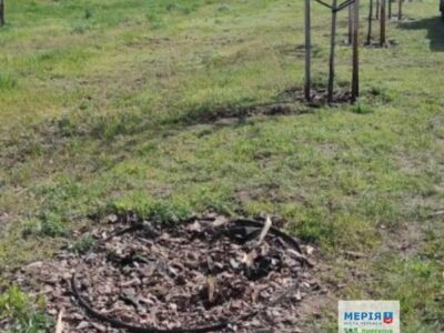 місце, де бло зламане дерево