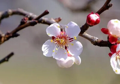 Погода на Черкащині