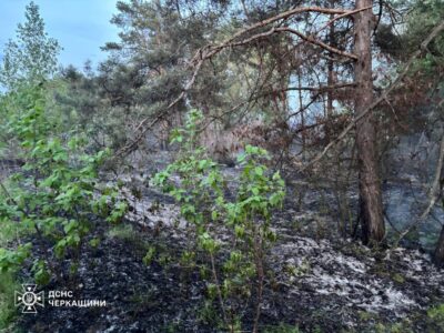 згоріла земля 26 квітня