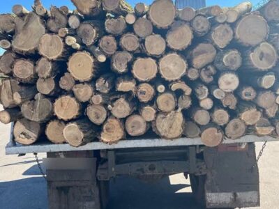 вантажівка з деревиною