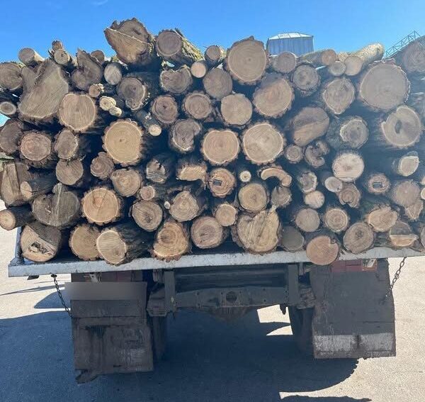 вантажівка з деревиною