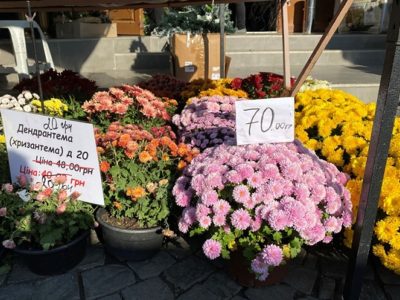 Живі квіти на кладовище
