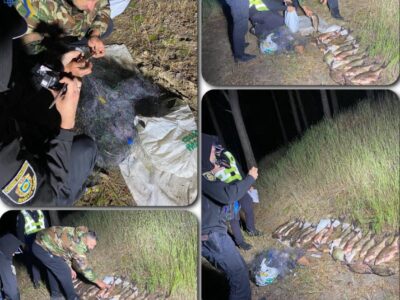 рибоохоронний патруль вилучив незаконно зловлену рибу