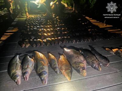 вилучена незаконно виловлена риба