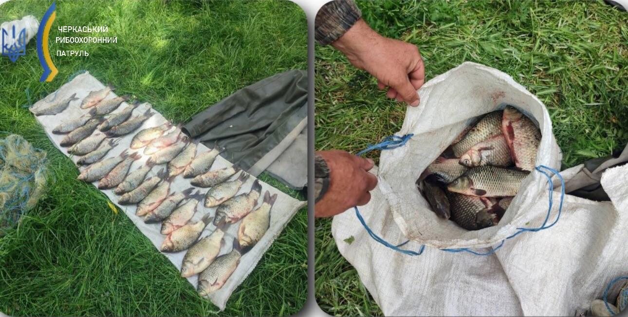 риба на мішку