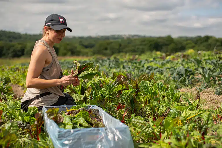 прояви зміни клімату
