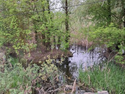 річка Бурти. що протікає в Уманському районі