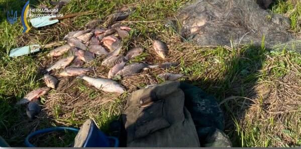 виловлена риба