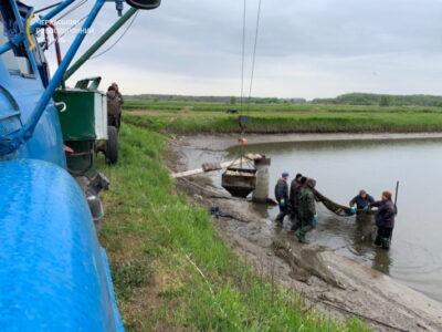 випускають рибу