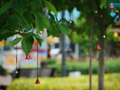 дзвіночки на дереві