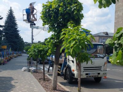 алея у Тальному