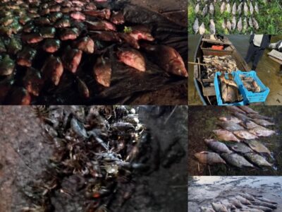 незаконний вилов риби