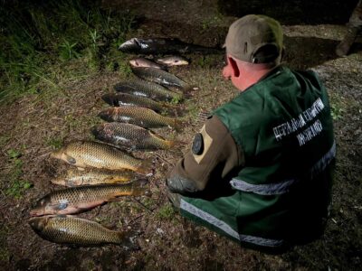 вилучення незаконно наловленої риби на Канівщині