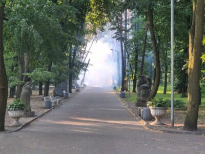 парк "Сосновий бір" під час обробки від шкідників