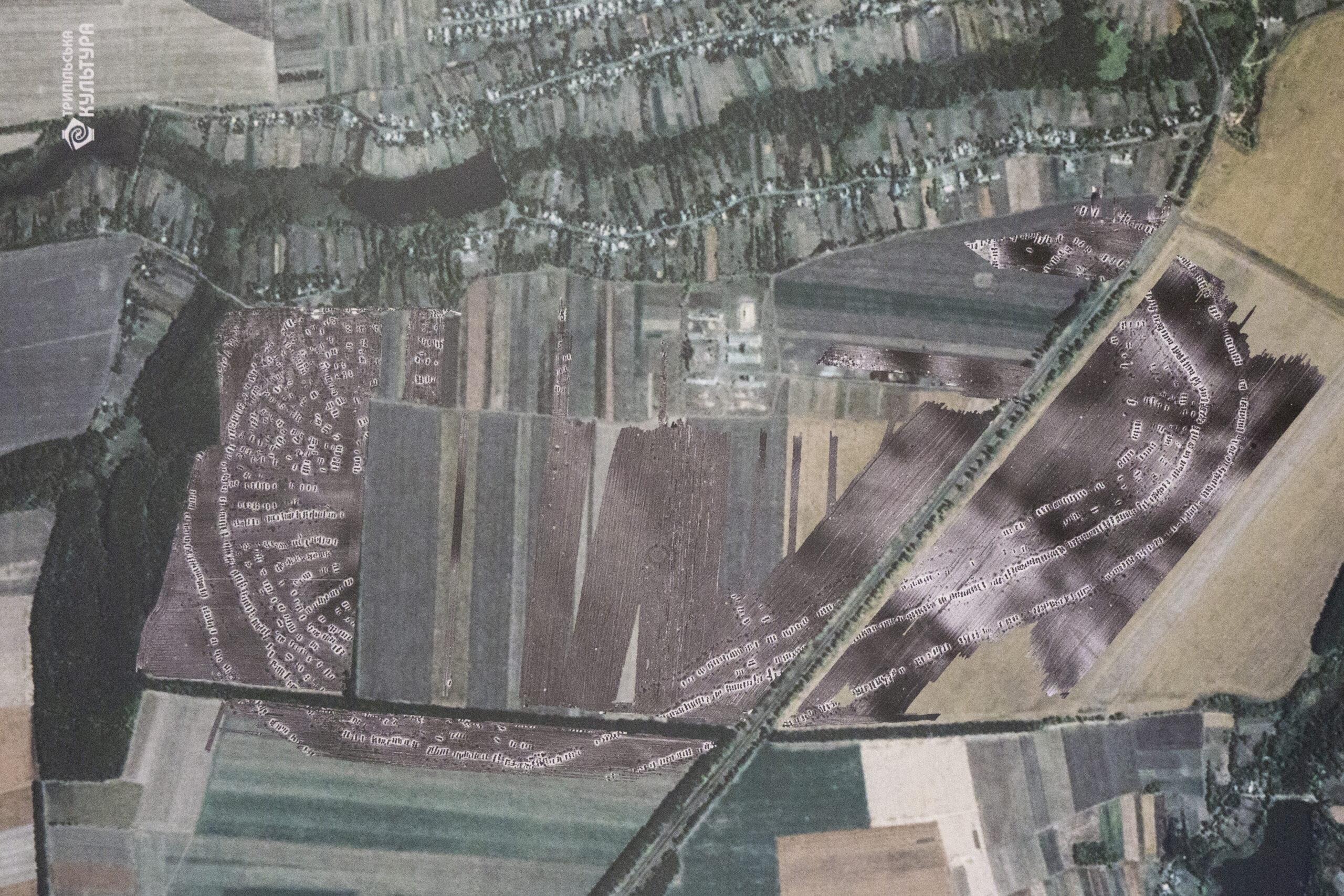 Трипільське мегапоселення Тальянки