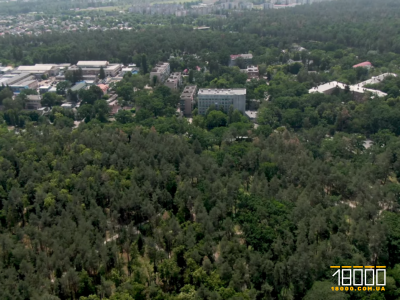 Земля в Соснівці