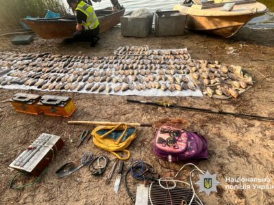 незаконний вилов