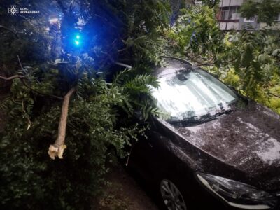 У Черкасах дерево привалило автомобіль