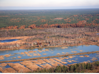 Ірдинське болото на Черкащині