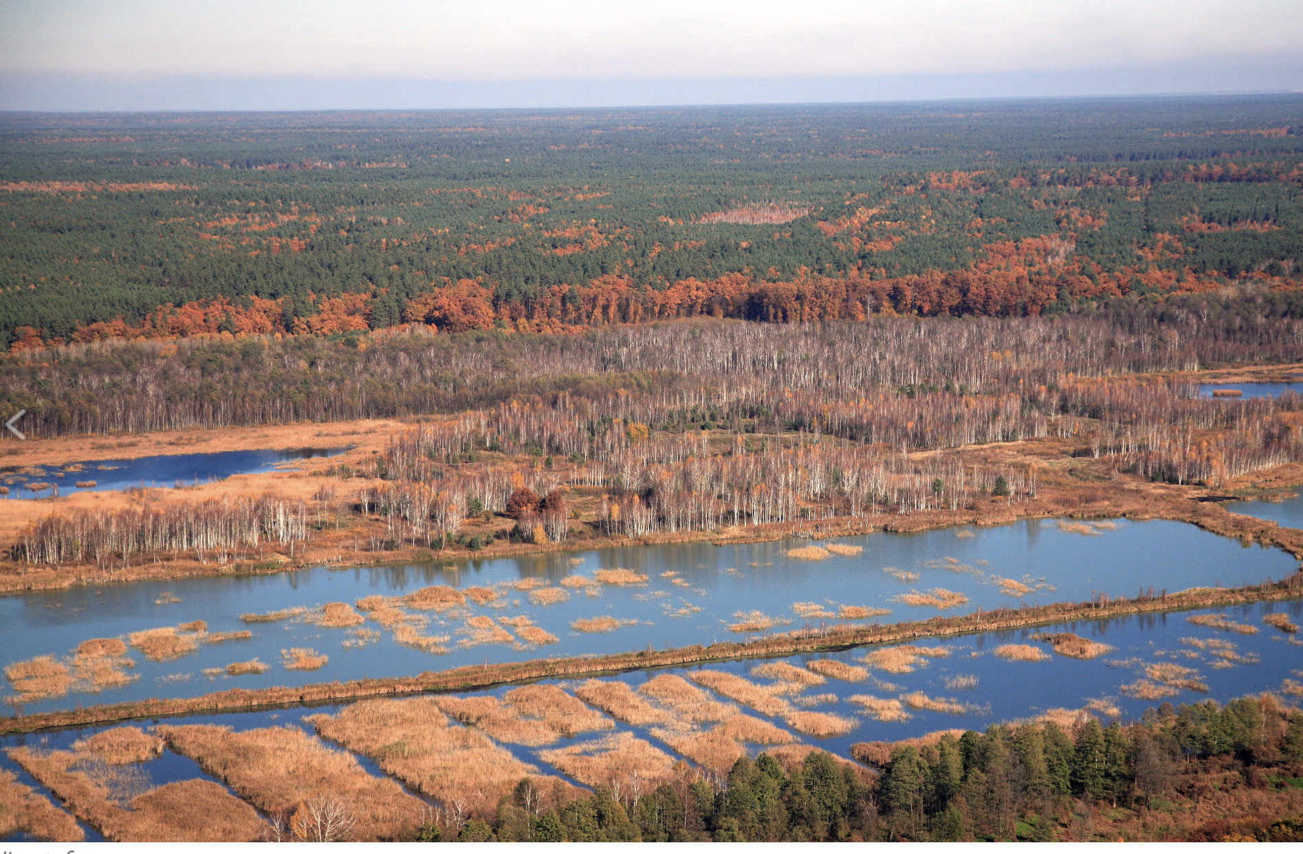 Ірдинське болото на Черкащині