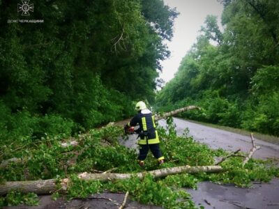 рятувальник прибирає дерево