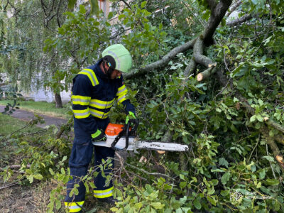 рятувальник зрізає дерево