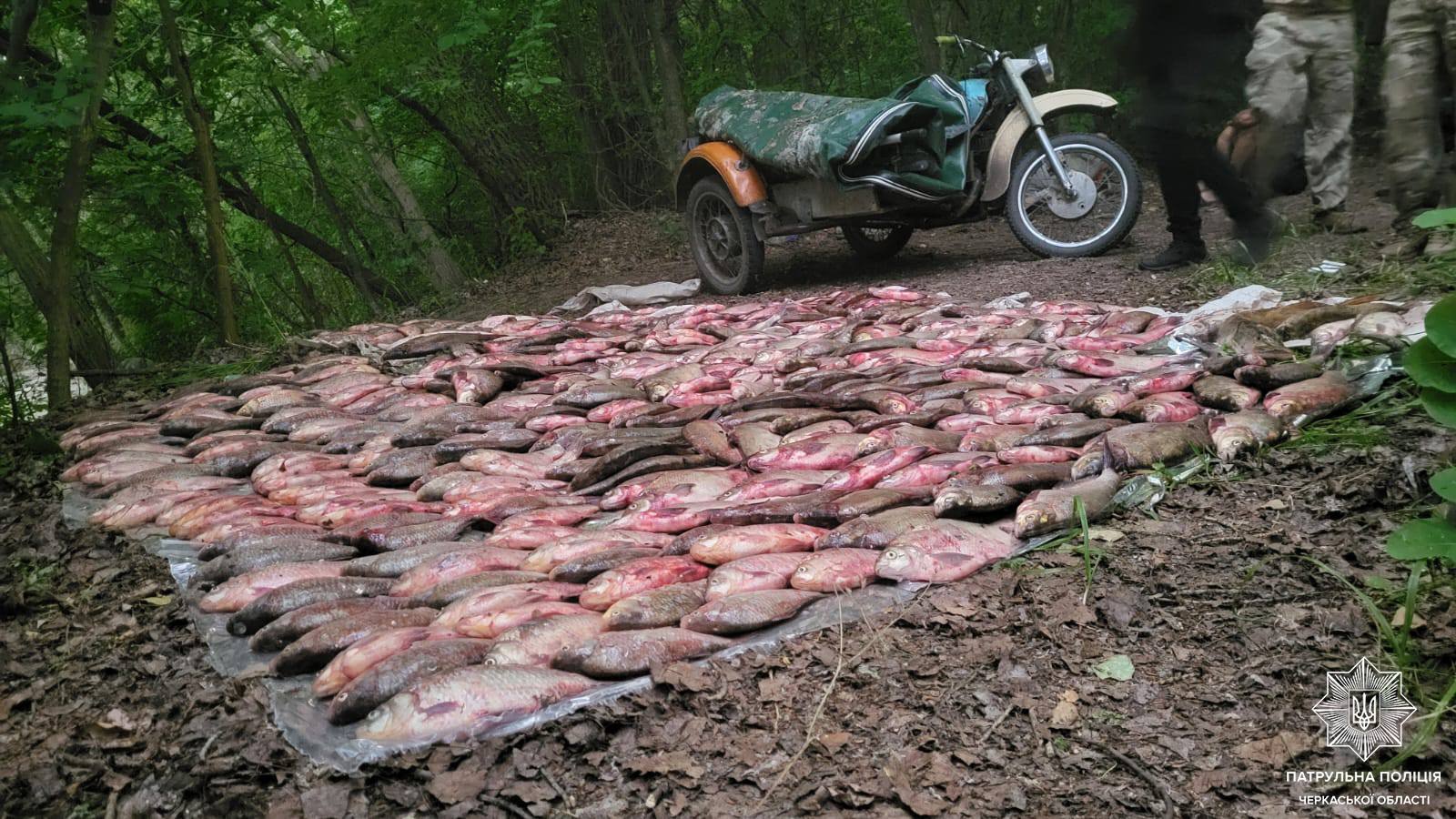 виловлена риба