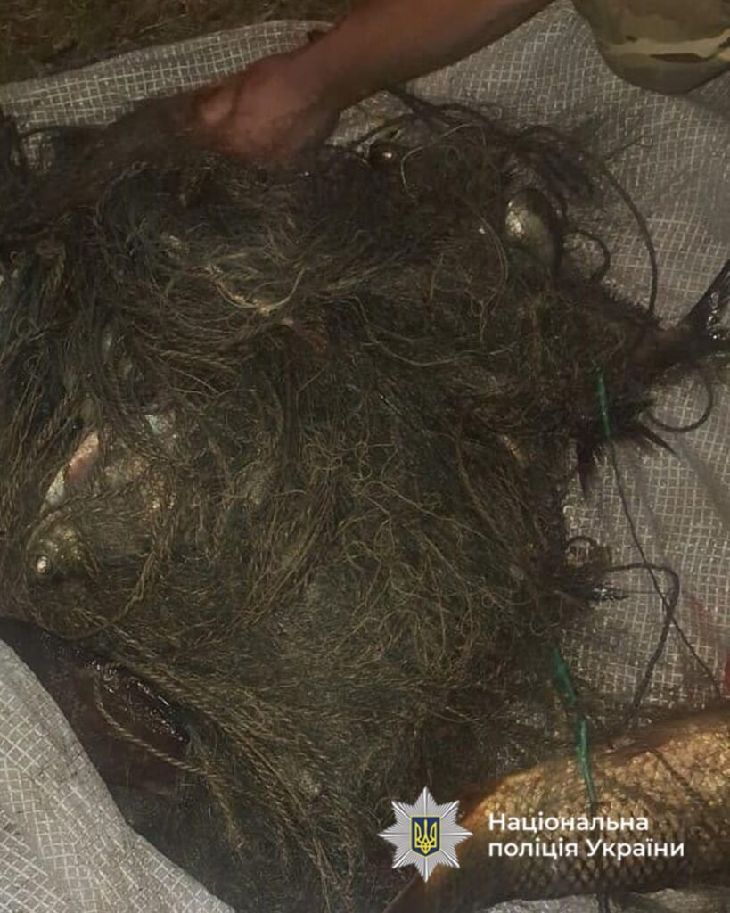 сітки для вилову риби