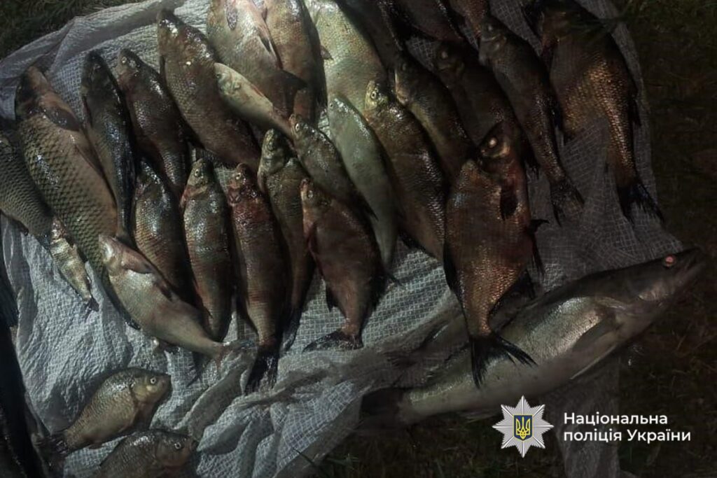 незаконно виловлена риби