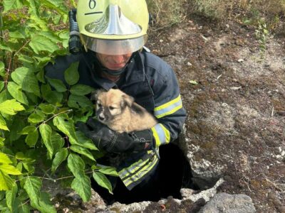 надзвичайник врятував пса у Звенигородці