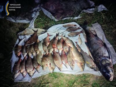 незаконний вилов