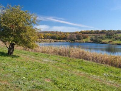 Заповідна зона