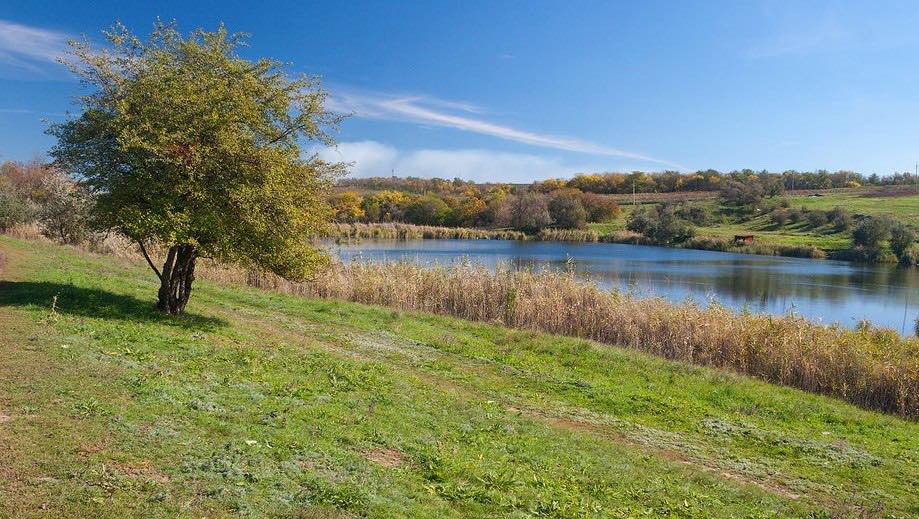 Заповідна зона