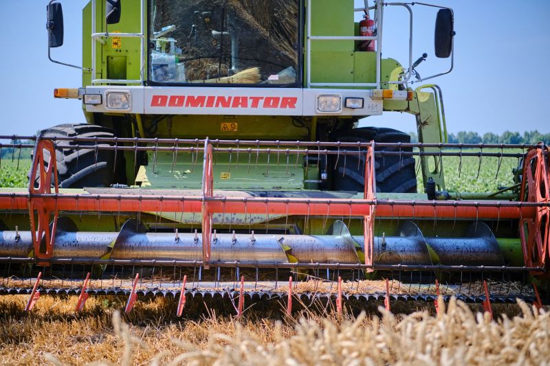 жнива у полі