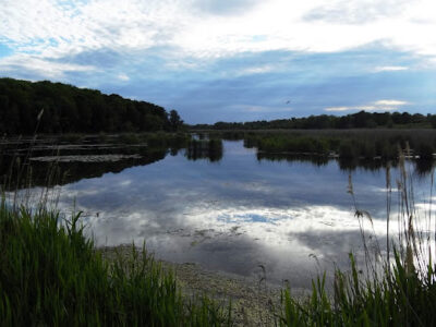 Гнилий Тікич