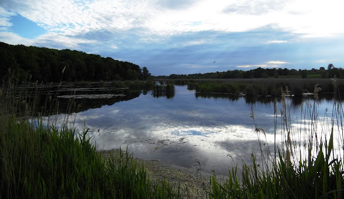 Гнилий Тікич