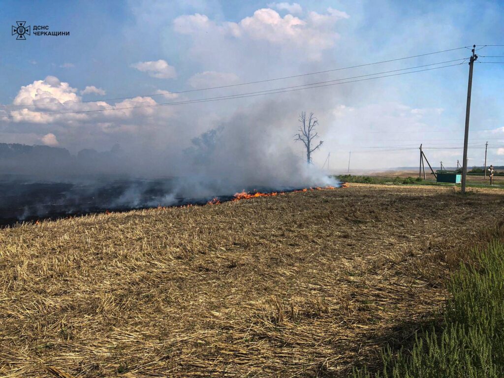 вогонь на полі