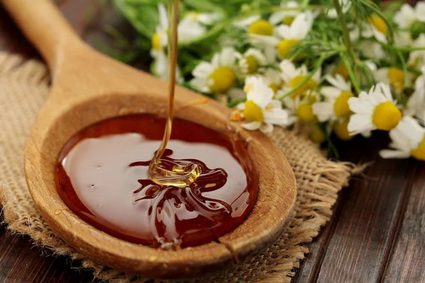 мед, ромашки