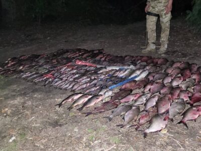 незаконно виловлена риби