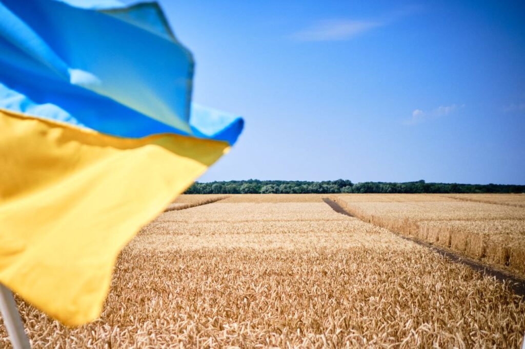 комбайн у полі