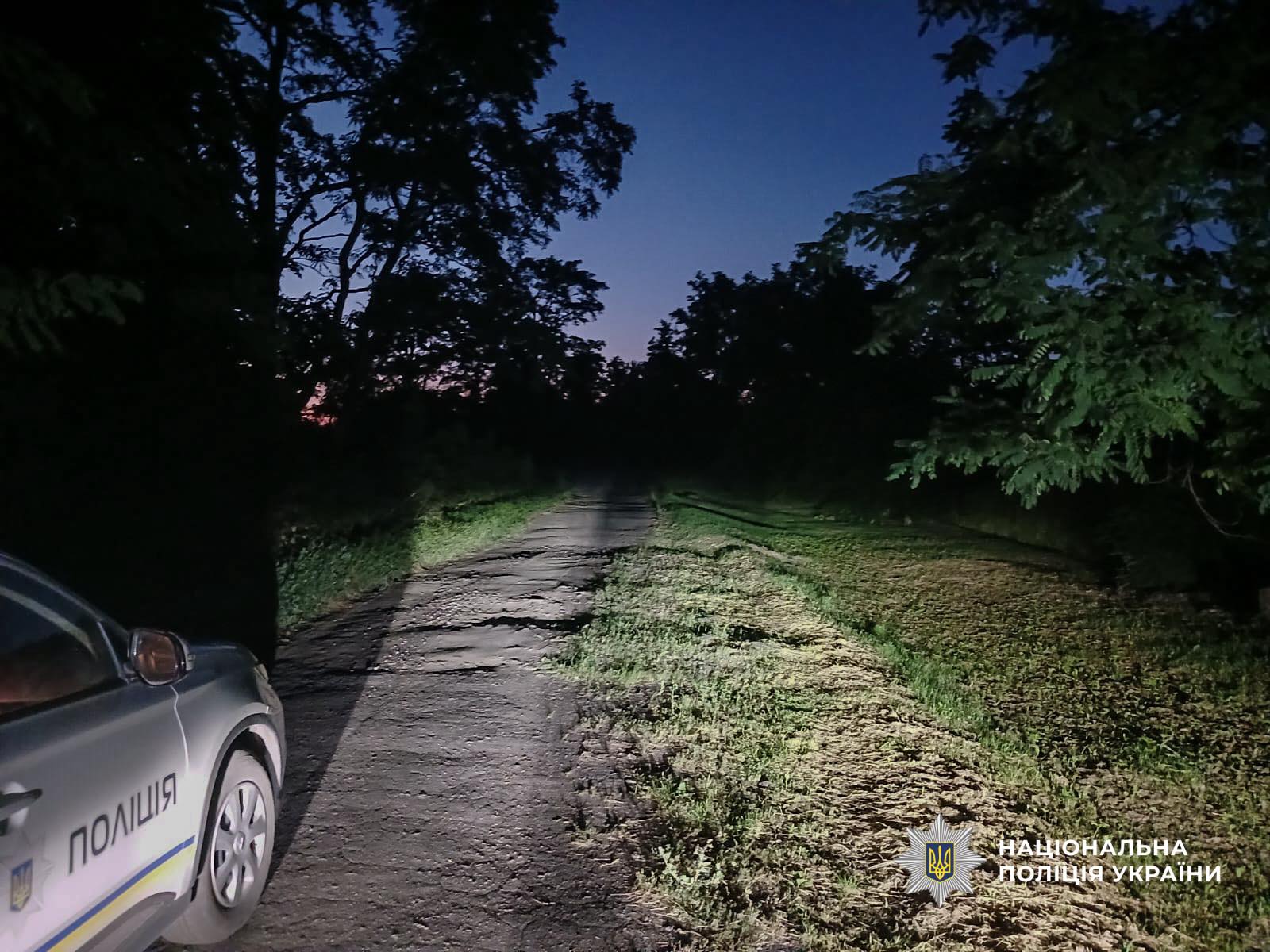 Поліцейське авто