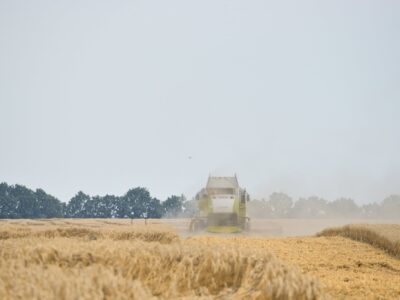 комбайн в полі