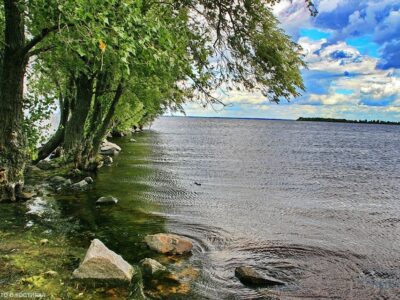 цвітіння води на Дніпрі