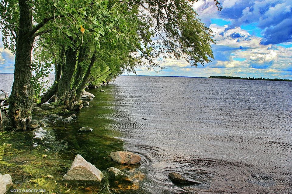 цвітіння води на Дніпрі