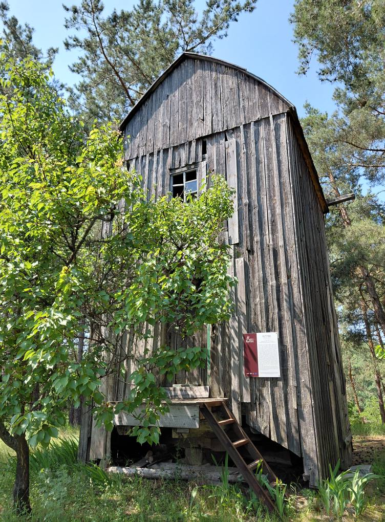 Бучацький вітряк