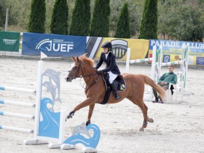 Кінний спорт