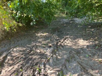 Розчищена територія