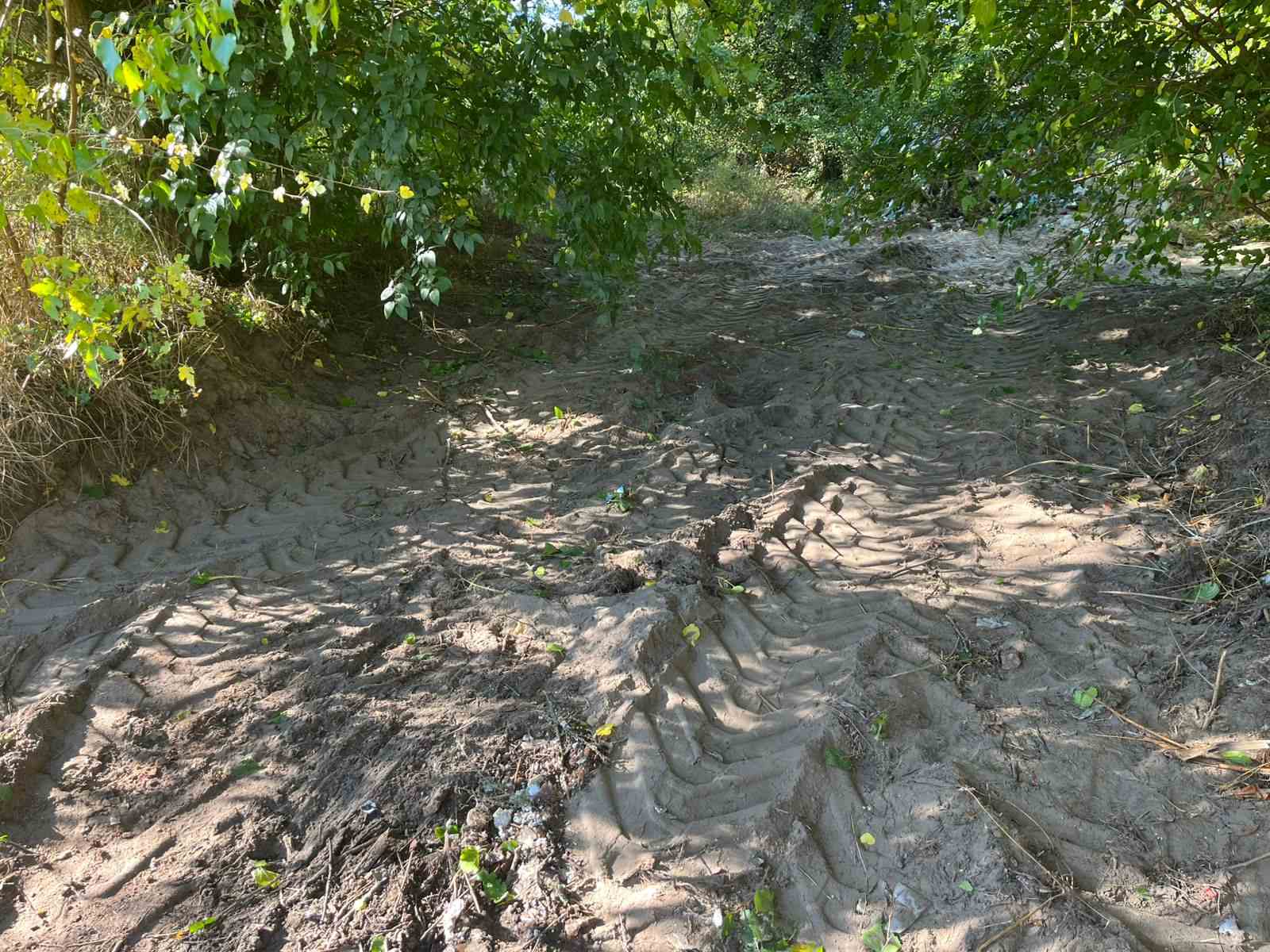 Розчищена територія